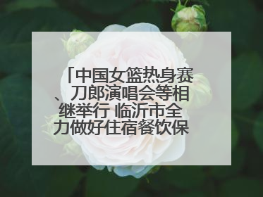 中国女篮热身赛、刀郎演唱会等相继举行 临沂市全力做好住宿餐饮保障工作