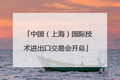 中国（上海）国际技术进出口交易会开幕