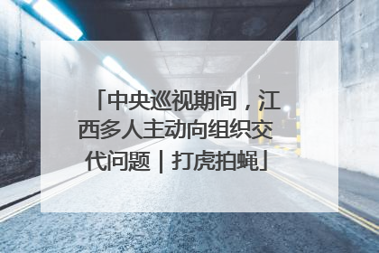 中央巡视期间，江西多人主动向组织交代问题｜打虎拍蝇