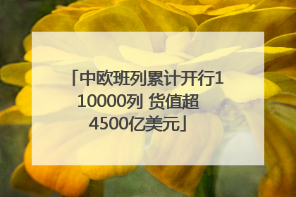 中欧班列累计开行110000列 货值超4500亿美元