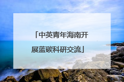 中英青年海南开展蓝碳科研交流