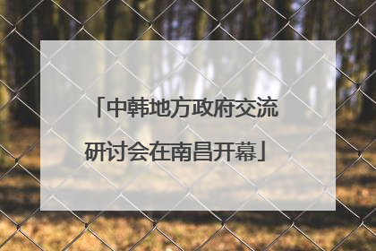 中韩地方政府交流研讨会在南昌开幕