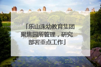 乐山洙幼教育集团聚焦园所管理，研究部署重点工作