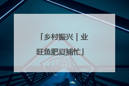 乡村振兴｜业旺鱼肥夏捕忙