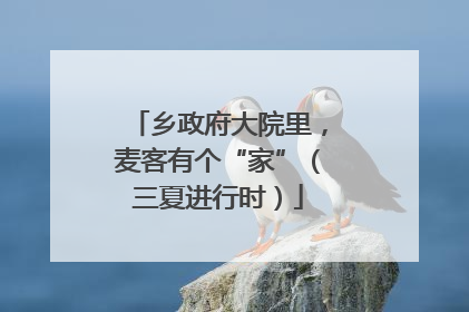 乡政府大院里，麦客有个“家”（三夏进行时）