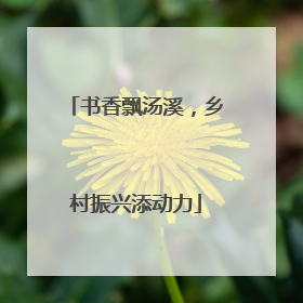 书香飘汤溪，乡村振兴添动力