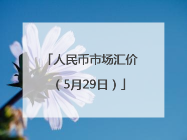 人民币市场汇价（5月29日）