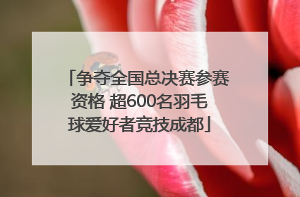 争夺全国总决赛参赛资格 超600名羽毛球爱好者竞技成都
