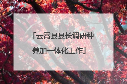 云霄县县长调研种养加一体化工作