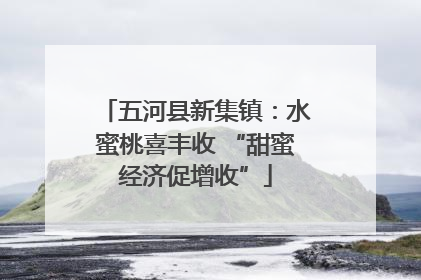 五河县新集镇：水蜜桃喜丰收 “甜蜜经济促增收”