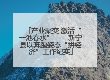 产业聚变 激活“一池春水”——新宁县以奔跑姿态“拼经济”工作纪实