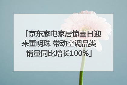 京东家电家居惊喜日迎来董明珠 带动空调品类销量同比增长100%