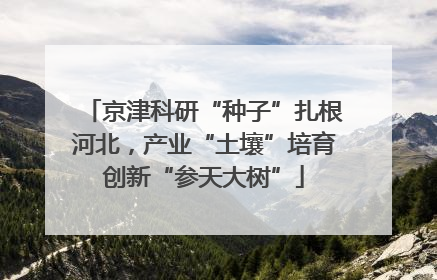 京津科研“种子”扎根河北，产业“土壤”培育创新“参天大树”