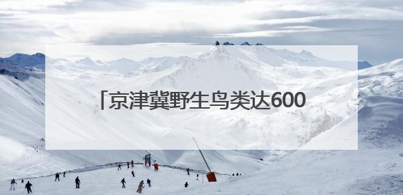 京津冀野生鸟类达600余种，占全国总数四成