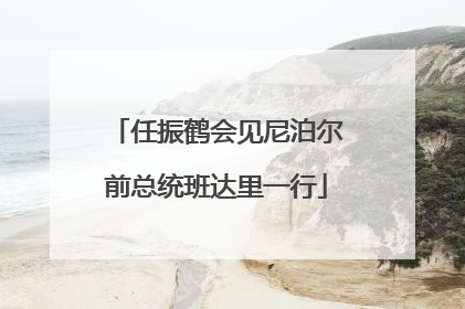 任振鹤会见尼泊尔前总统班达里一行