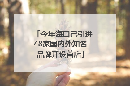 今年海口已引进48家国内外知名品牌开设首店