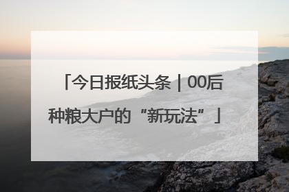 今日报纸头条｜00后种粮大户的“新玩法”