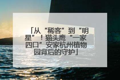 从“稀客”到“明星”！猫头鹰“一家四口”安家杭州植物园背后的守护