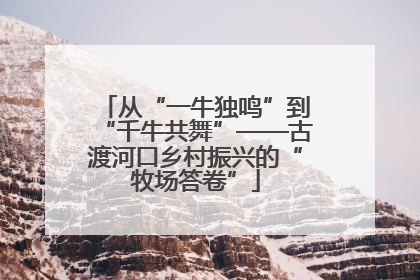 从“一牛独鸣”到“千牛共舞”——古渡河口乡村振兴的“牧场答卷”