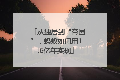 从独居到“帝国”，蚂蚁如何用1.6亿年实现