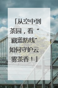 从空中到茶园，看“藏蓝防线”如何守护云雾茶香！