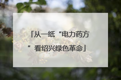 从一纸“电力药方”看绍兴绿色革命