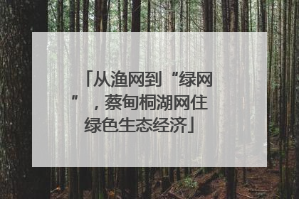 从渔网到“绿网”，蔡甸桐湖网住绿色生态经济