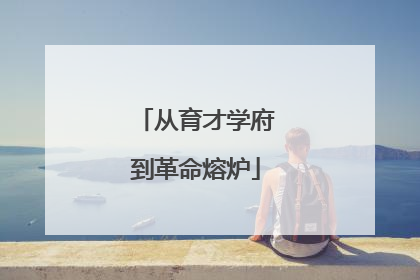 从育才学府到革命熔炉