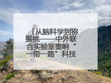 从脑科学到猕猴桃——中外联合实验室奏响“一带一路”科技合作交响曲