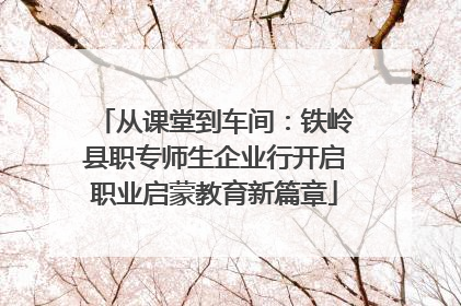 从课堂到车间：铁岭县职专师生企业行开启职业启蒙教育新篇章