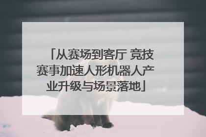 从赛场到客厅 竞技赛事加速人形机器人产业升级与场景落地