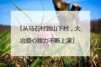 从马石村到山下村，大冶爱心接力不断上演