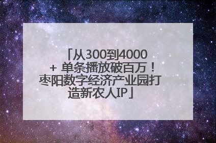 从300到4000+ 单条播放破百万！枣阳数字经济产业园打造新农人IP