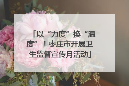 以“力度”换“温度”！枣庄市开展卫生监督宣传月活动