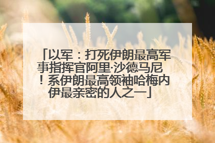 以军：打死伊朗最高军事指挥官阿里·沙德马尼！系伊朗最高领袖哈梅内伊最亲密的人之一
