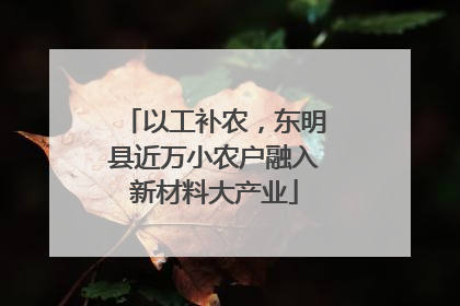 以工补农，东明县近万小农户融入新材料大产业