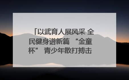 以武育人展风采 全民健身谱新篇 “金童杯” 青少年散打搏击邀请赛圆满落幕