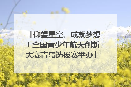 仰望星空、成就梦想！全国青少年航天创新大赛青岛选拔赛举办