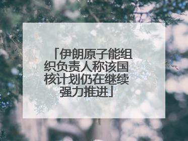伊朗原子能组织负责人称该国核计划仍在继续强力推进