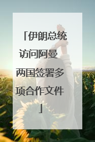 伊朗总统访问阿曼 两国签署多项合作文件