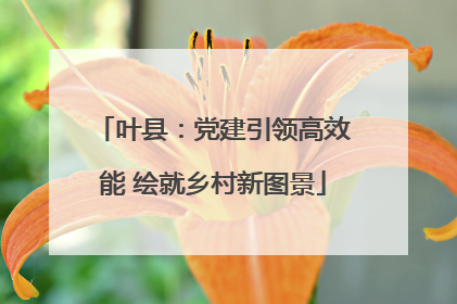 叶县：党建引领高效能 绘就乡村新图景