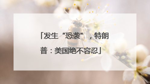 发生“恐袭”，特朗普：美国绝不容忍