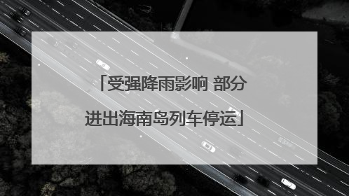 受强降雨影响 部分进出海南岛列车停运