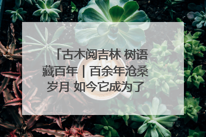 古木阅吉林 树语藏百年｜百余年沧桑岁月 如今它成为了“镇园之宝”