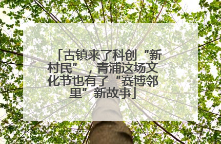 古镇来了科创“新村民”，青浦这场文化节也有了“赛博邻里”新故事