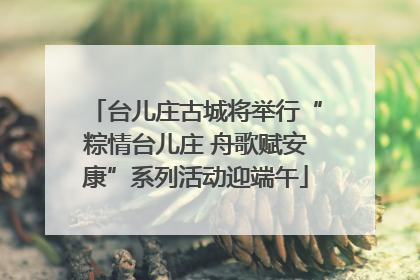 台儿庄古城将举行“粽情台儿庄 舟歌赋安康”系列活动迎端午
