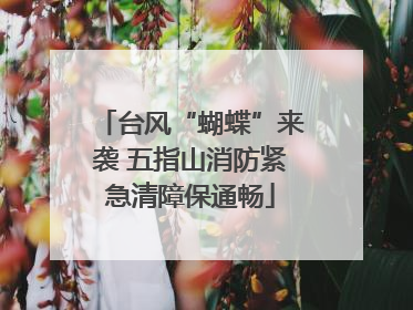 台风“蝴蝶”来袭 五指山消防紧急清障保通畅