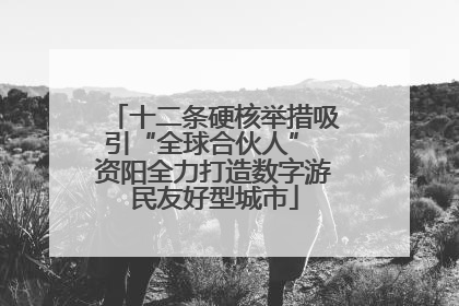 十二条硬核举措吸引“全球合伙人” 资阳全力打造数字游民友好型城市