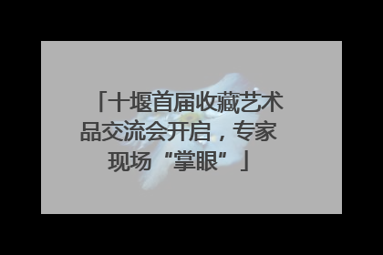 十堰首届收藏艺术品交流会开启，专家现场“掌眼”