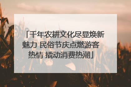 千年农耕文化尽显焕新魅力 民俗节庆点燃游客热情 撬动消费热潮